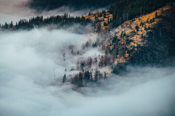 Mist over autumn Carpathian mountains. Nature before winter