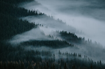 Mist in autumn nature, fog beyond the hills, nature in carpathian mountains