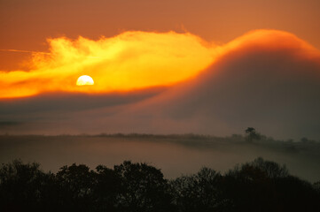Huge orange sun in autumn morning, foggy scenery, wallpaper, edit space