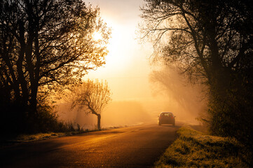 Personal Car going to work in orange rays of autumn morning. Silhouette