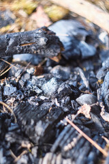 Close up of pile of charcoals in firepit in spring sun