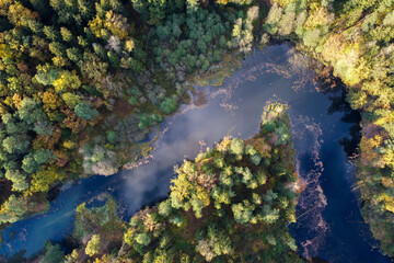 Aerial view of summer forest landscape with river with reflection of white clouds and blue sky in water