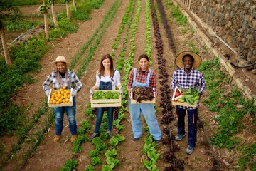 Multiracial gardening people holding wooden box of harvested organic fruits and vegetables -...