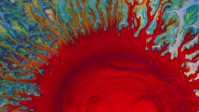 Bright red spot, a drop of paint, sprouts on a blue background.