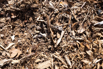 Texture - Terre