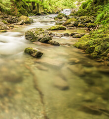 Naklejka na ściany i meble Forest river stream in Carpathian mountains summer time long exposure photo
