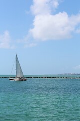Obraz premium Sailboat sailing at low tide with passengers aboard navigating through the wind in Miami Beach, Florida near South Pointe Pier. Copyspace for text. Advertising. 