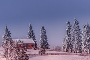 Beautiful winter landscape, forest hut covered with snow in the mountains. Vatra Dornei, Bucovina,...