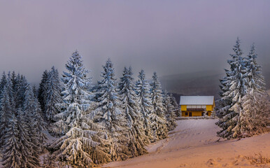 Forest hut covered with snow in the mountains. Vatra Dornei, Bucovina, Romania, Europe. Christmas...