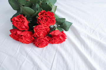 7 red roses lie on the white bed linen like a fallen bouquet use as a background or a postcard