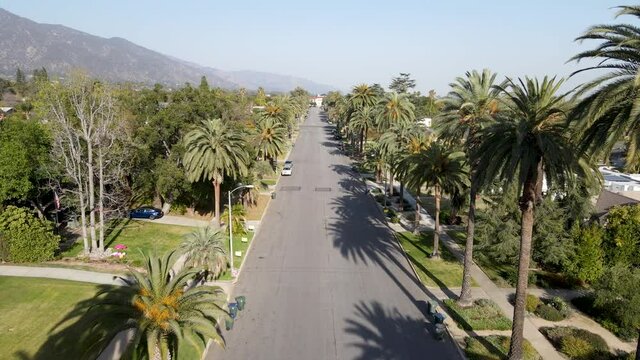 Aerial view of palm tree lined Street in Pasadena neighborhood in northeast of downtown Los Angeles, California, USA