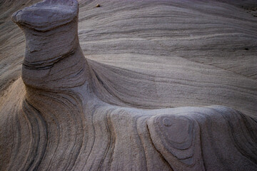 Fossil Rocks