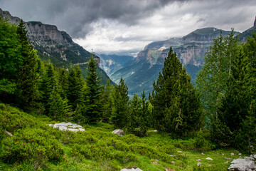 Coníferas y arbustos de alta montaña con el fondo del valle glaciar y las nubes en el Parque Nacional de Ordesa, en los Pirineos españoles