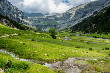 Fototapeta na wymiar Aspecto del circo glaciar del Valle de Ordesa, por encima de los 2000 metros de altitud y casi en el límite de la vegetación arbórea en un parque nacional de los Pirineos españoles