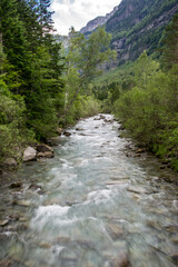El río Arazas desciende como un torrente por el Valle de Ordesa rodeado de bosques de hayas y paredes de roca caliza