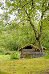 Fototapeta na wymiar Scandinavian traditional house with green roof