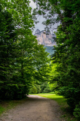 Un camino entre el bosque de hayas del Parque Nacional de Ordesa, en los Pirineos españoles