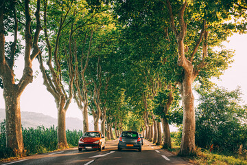 Cars driving on a country road lined with trees. Bright sunlight at sunset in the evening. Cars on...