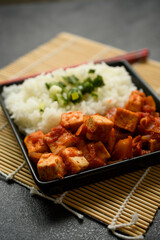 (Dau Sot Ca Chua) Vietnamese Cuisine, Tofu with Tomato Sauce