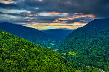 Mtirala National Park, Adjara, Georgia