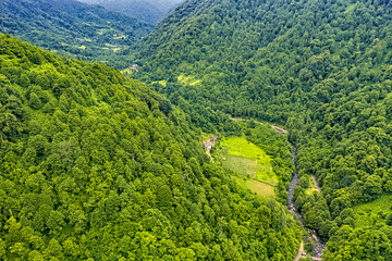 Mtirala National Park, Adjara, Georgia