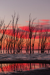 sunset on the lake