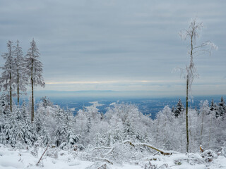 Obraz premium The four bridges over the Rhine between Mainz and Wiesbaden, a beautiful winter morning shot