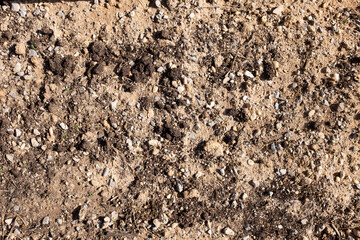 Texture - Terre