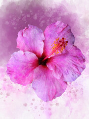 Watercolor pink hibiscus, tropical flower. Hand drawn big summer flower isolater on white background.