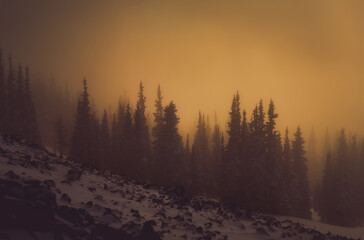 Dramatic orange sunset in mountains in the foggy Pacific Northwest in winter
