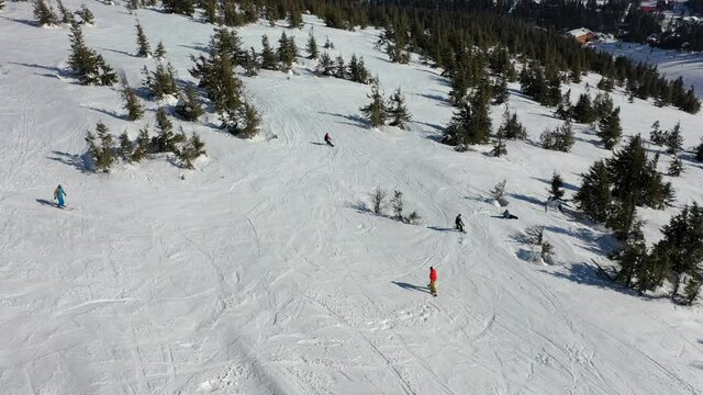 Winter ski resort in the mountains, a group of bright snowboarders ride on the slope in the green fir trees