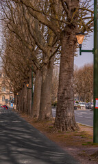Fototapeta premium Chemin Vert - Caen