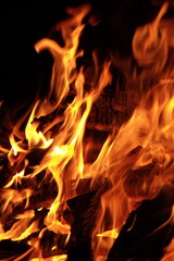 Bonfire fire on a May night, burning firewood, orange flames, darkness. Hot passionate fire dance.