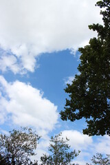 Obraz premium Interplay of elements of nature on a sunny day