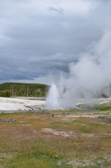 Late Spring in Yellowstone National Park: Cliff Geyser of the Emerald Group in the Black Sand Basin Area of Upper Geyser Basin Erupts along Iron Spring Creek