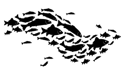 fish.fish icon vector illustration.collection of fish icon with waves