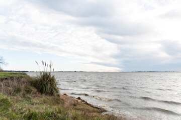 Lakeside of Chascomus, a quiet town in the province of Buenos Aires, Argentina