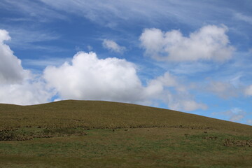 La montaña ecuatoriana, llegando a los páramos andinos