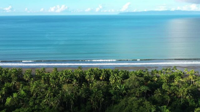 Golfo Dulce aerial view from zancudo beach coconut trees by the ocean sunny day Costa Rica
