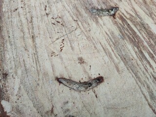 The wooden floor has a rough finish.
