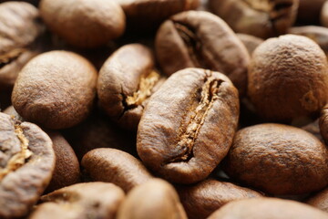 コーヒー豆（コロンビア）