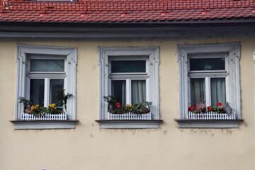 Altbau Fenster Altstadt Fenstersims Blumen bepflanzt Denkmalschutz