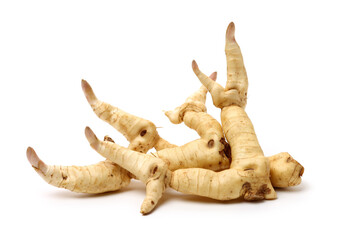 Polygonatum sibiricum on white background