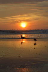 sunset on the beach