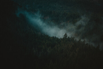 Washington Evergreen State Smoke Mountain Side