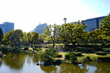 Fototapeta premium Shinji-ike pond at Hibiya park in Tokyo, Japan. Japanese garden - 日比谷公園 心字池 日本庭園 