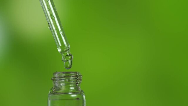 Drop of organic essence oil fall from pipette in glass bottle on green background. Alternative healthy medicine and healthcare concept. Skin and body care, moisture lotion, wellness therapy