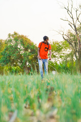 Indian farmer spraying pesticides in green onion field