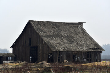 Fototapeta na wymiar A Close up shot of an abandoned farm
