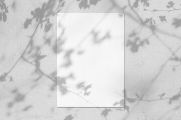 Empty white vertical rectangle poster mockup with soft shadows of blooming tree leaves and flowers on neutral light grey concrete wall background. Flat lay, top view